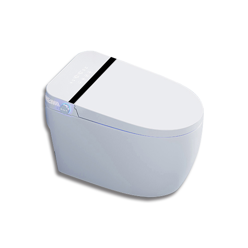 BỒN CẦU THÔNG MINH BASIC S1000