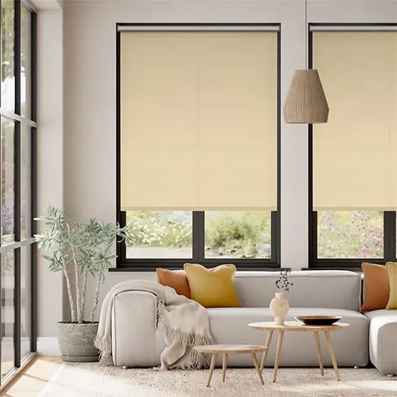 MÀN SÁO CUỐN BASIC