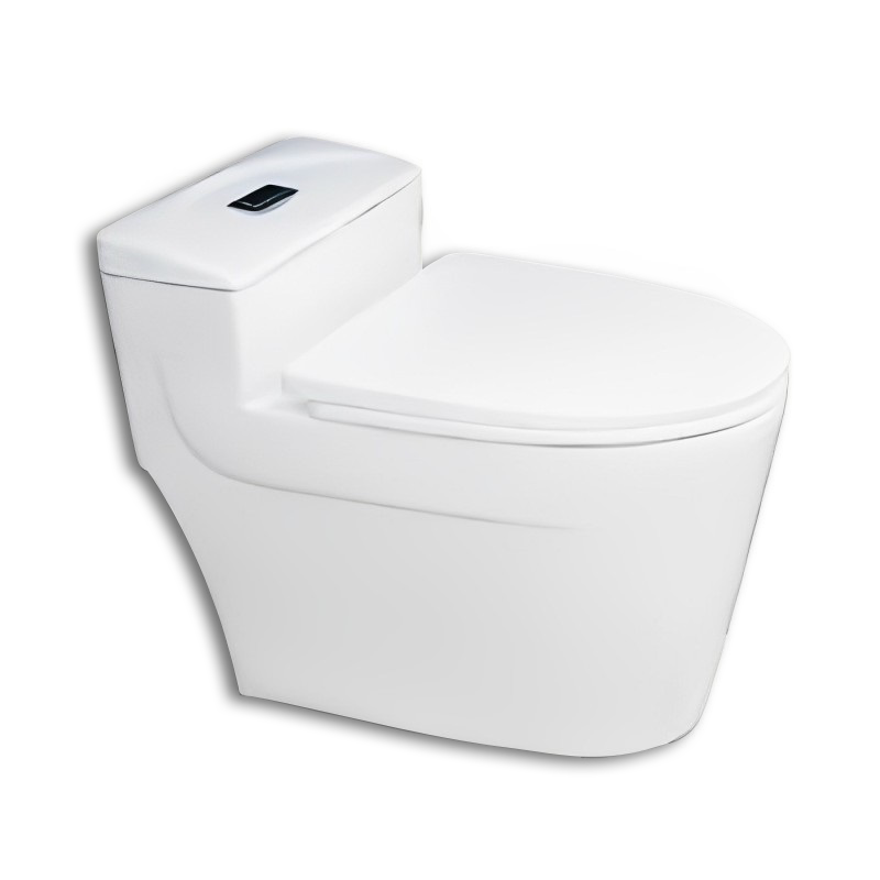 BỒN CẦU 1 KHỐI 8805