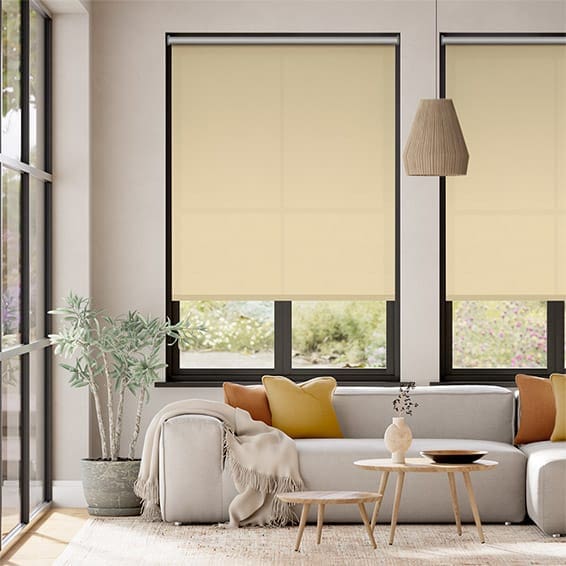 RÈM CUỐN CẢN NẮNG 100% WINSUN W004