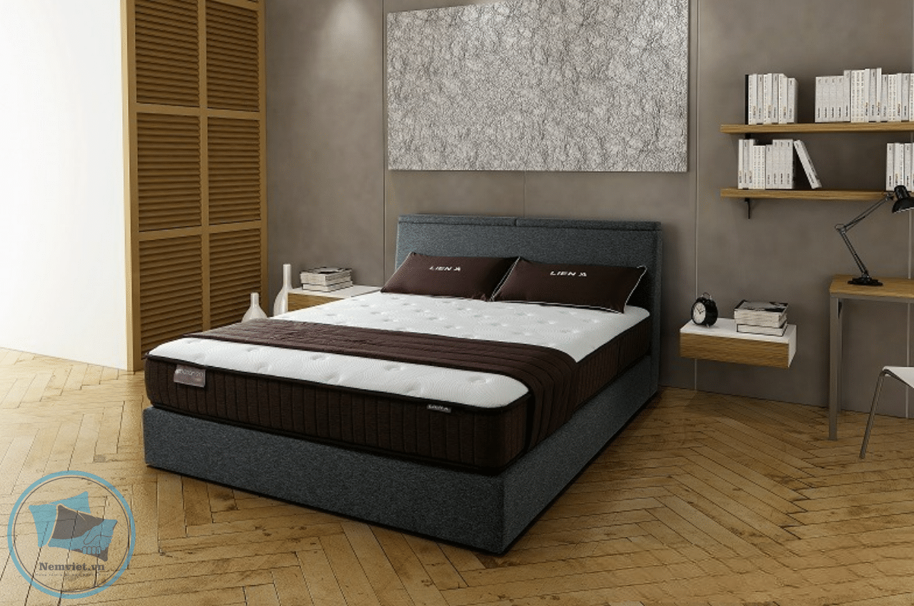 NỆM LÒ XO TÚI LIÊN Á – COCOON 2.0 FIRM