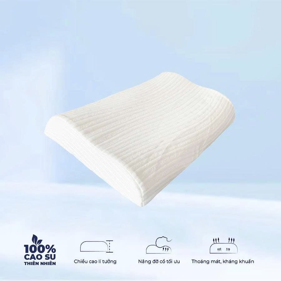 GỐI CAO SU FELIX - LƯỢN SÓNG WAVE